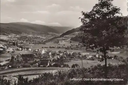 Wald-Michelbach, Ober-Schönmattenwag - Ansicht