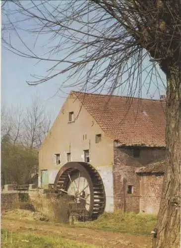 Belgien - Grimbergen - Belgien - De watermolen