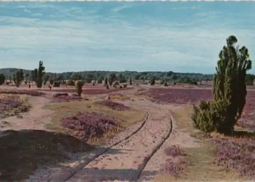 Lüneburger Heide - ca. 1975