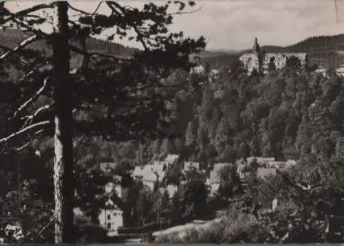 Schwarzburg - Teilansicht mit Schloß - 1961