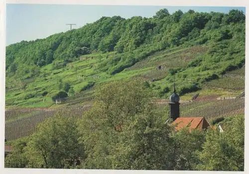 Weinbau mit Kirche