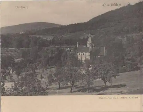 unbekannter Ort - Hardberg - altes Schloss