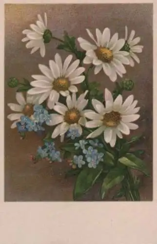 Blumen zwei Arten