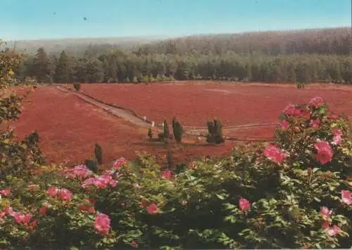 Lüneburger Heide - Totengrund - ca. 1985