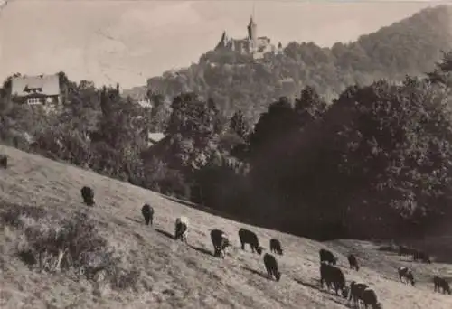 Wernigerode - Im Bollhasental