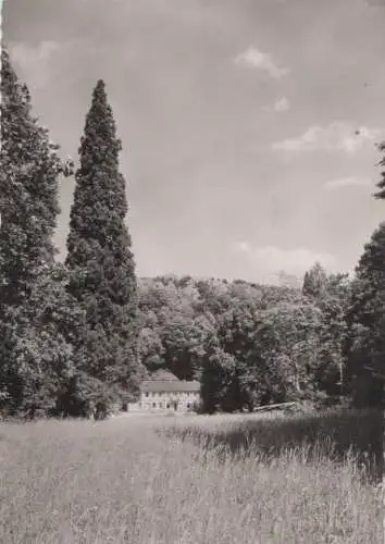 Bensheim-Auerbach - Herrenhaus - ca. 1965