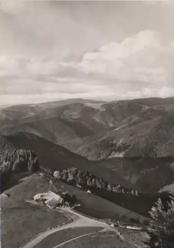 Untermünstertal, Almwirtschaft Kälbelescheuer - 1967