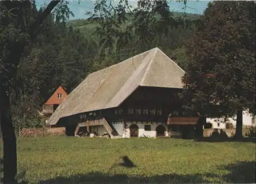 Schwarzwald - Bauernhof