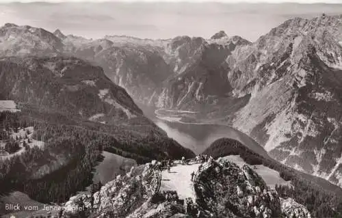 Jenner (Berg) - Blick vom Gipfel