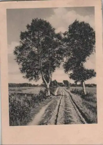 Feldweg mit Bäumen - ca. 1940