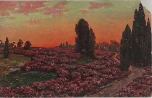 Sonnenuntergang in der Heide