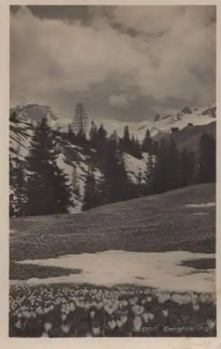 Bergfrühling - ca. 1950