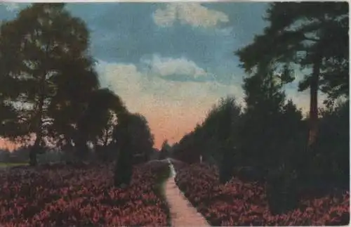 Lüneburger Heide - 1922