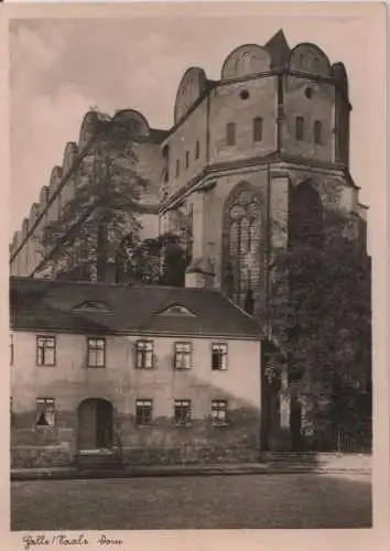 Halle - Dom - ca. 1950