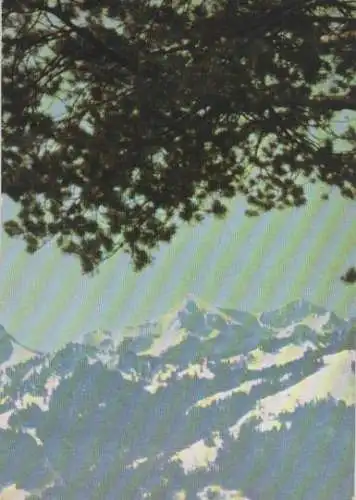 Schweiz - Bei Aeschi - ca. 1965