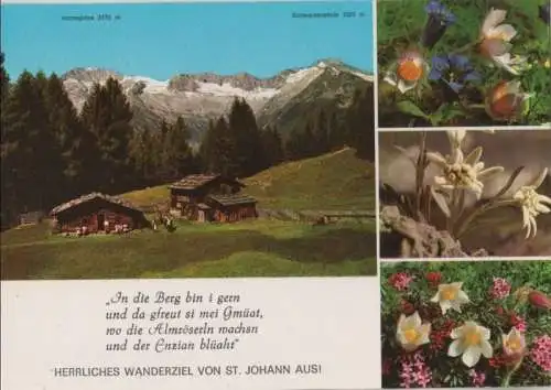 Österreich - Österreich - Sankt Johann - Niederhofer Alm - ca. 1980