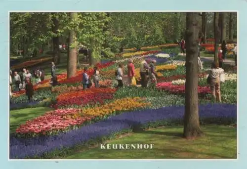 Niederlande - Holland - Niederlande - Keukenhof