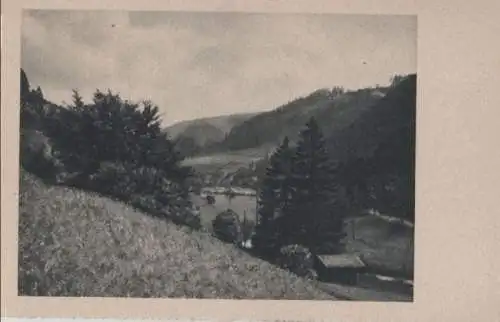 Nadelbäume im Tal - ca. 1955