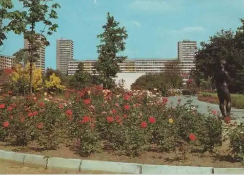 Frankfurt Oder - Botanischer Garten - 1993