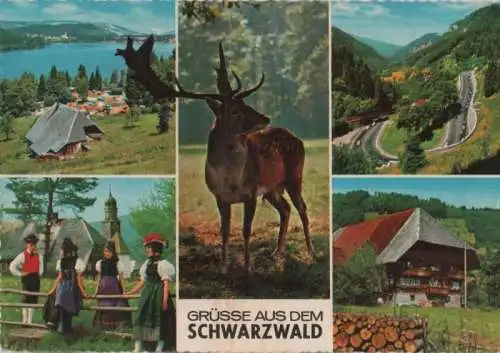 Schwarzwald - 5 Bilder