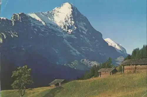 Schweiz - Grindelwald - Schweiz - Eiger