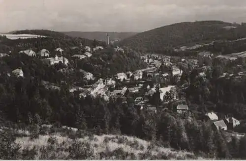 Bad Gottleuba - Blick vom Tannenbusch - 1953