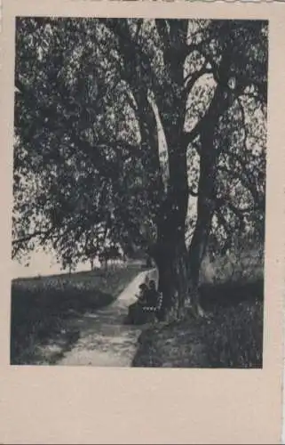 Bank am Wanderweg - ca. 1955