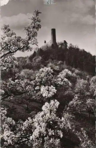 Weinheim - Burgruine Windeck - 1968