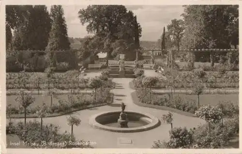 Mainau (Insel) - Rosengarten