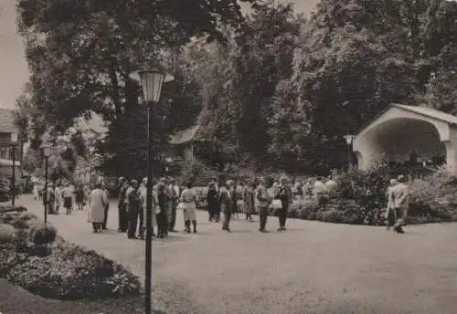 Bad Salzschlirf - Im Kurpark - 1964