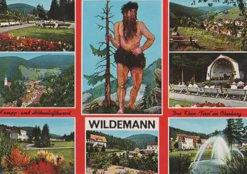 Wildemann - mit 7 Bildern - ca. 1975