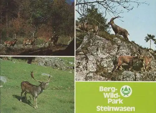 Todtnau - Bergwildpark Steinwiesen