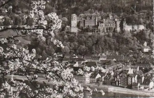 Heidelberg in der Blüte - ca. 1955