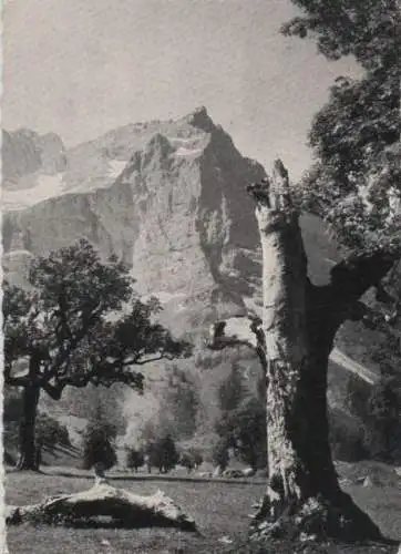 Österreich - Österreich - Vomp-Eng - mit Spritzkarspitze - 1957