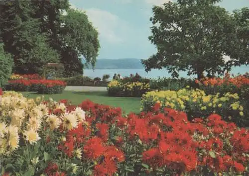 Mainau (Insel) - im Bodensee - ca. 1980