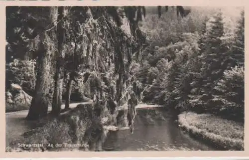 Schwarzburg - Schwarzatal - An der Trauertanne - ca. 1955