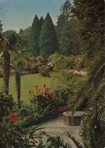 Mainau - Blick vom Palmenhain - 1965