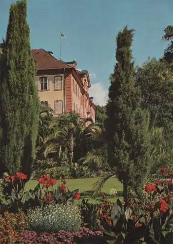 Mainau - Palmenhain mit indischem Blumenrohr - ca. 1980