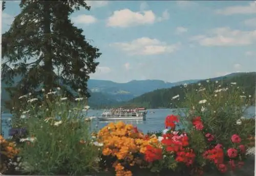 Titisee-Neustadt - am See