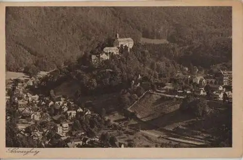 Schwarzburg - Blick vom Trippstein - ca. 1950