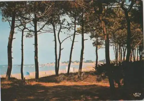 Frankreich - Frankreich - La Tranche sur Mer - Plage - 1977