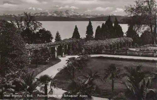 Mainau - Palmengarten mit Schweizer Alpen - 1962