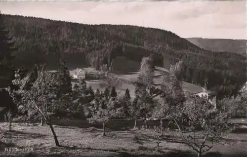 Freudenstadt - Blick ins Christofstal mit Bärenschlössle - ca. 1960