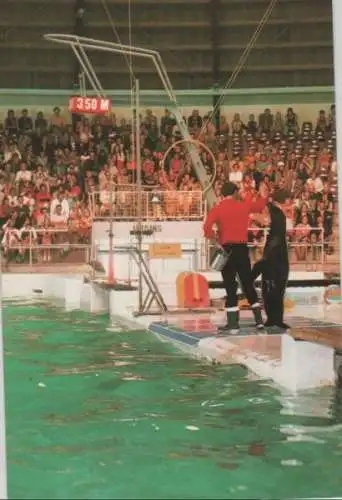 Niederlande - Harderwijk - Niederlande - Dolfinarium