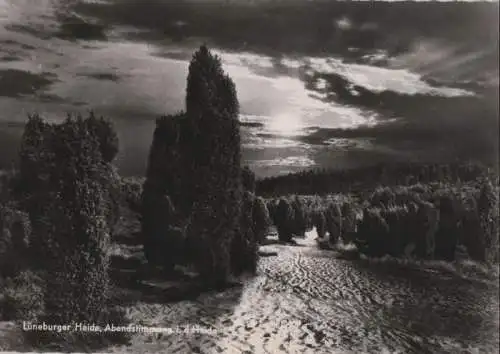 Lüneburger Heide - Abendstimmung - ca. 1965