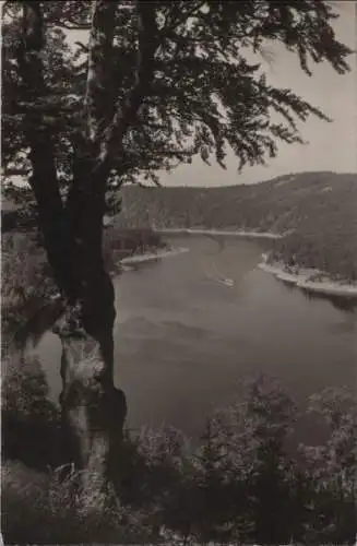 Bleilochtalsperre - Blick vom Silberknie - 1956