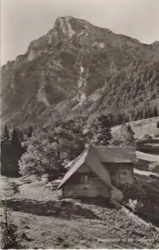 Bad Reichenhall - Steineralm am Hochstaufen