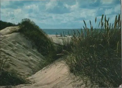 Dünen und Meer - 1975