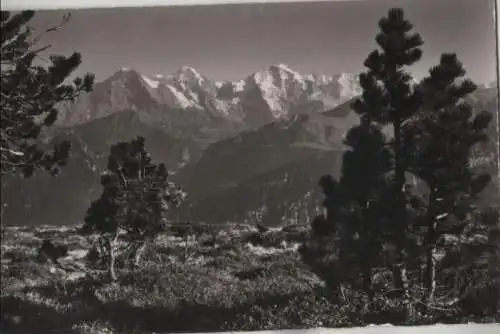 Schweiz - Schweiz - Beatenberg - Ausblick vom Bergfährenwäldchen - 1955