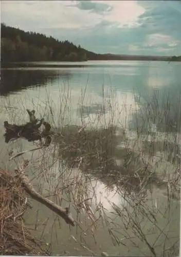 Staffelsee - bei Murnau